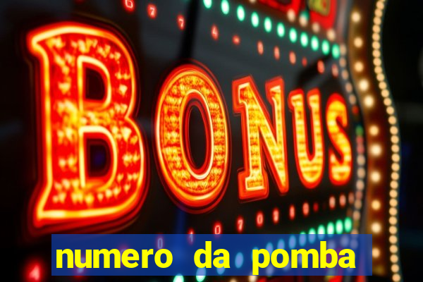 numero da pomba jogo do bicho